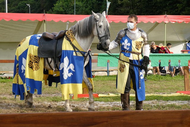 道品势锦标 道品势锦标